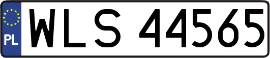 WLS44565