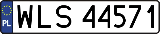 WLS44571