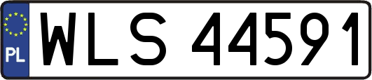 WLS44591