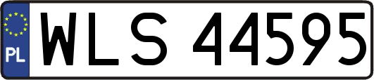 WLS44595