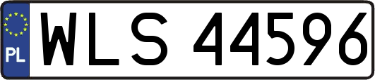 WLS44596