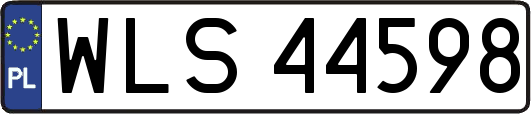 WLS44598