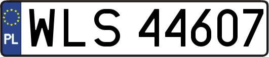 WLS44607
