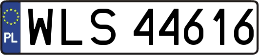 WLS44616