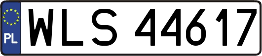 WLS44617