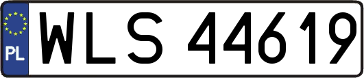 WLS44619