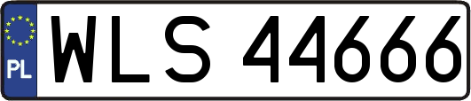 WLS44666