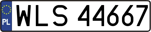 WLS44667