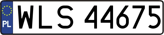 WLS44675