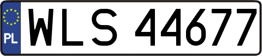 WLS44677