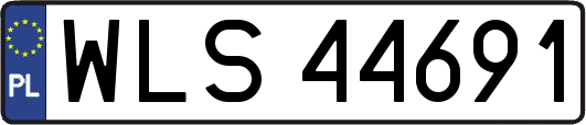 WLS44691