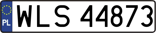 WLS44873