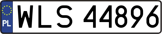 WLS44896