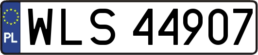 WLS44907