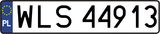 WLS44913