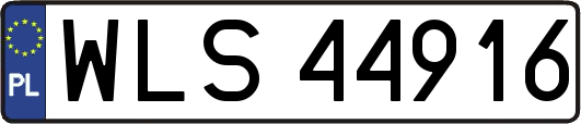 WLS44916