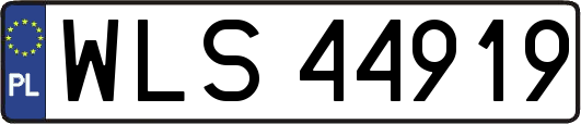 WLS44919