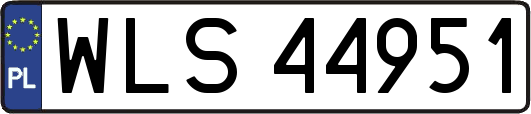 WLS44951