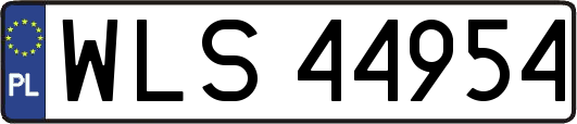 WLS44954