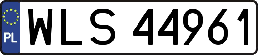 WLS44961