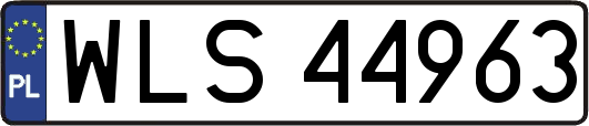 WLS44963