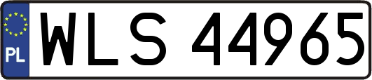 WLS44965