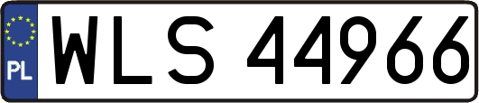 WLS44966