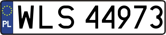 WLS44973