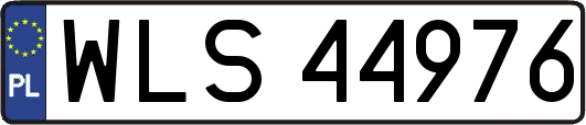 WLS44976