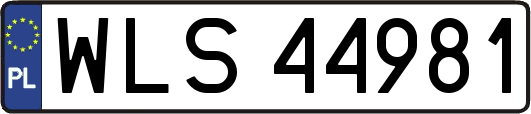 WLS44981