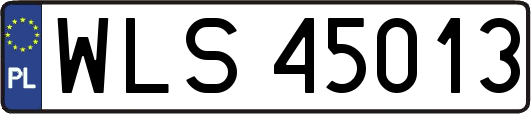 WLS45013