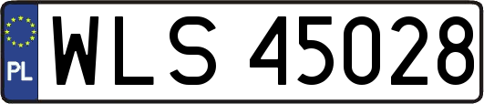 WLS45028