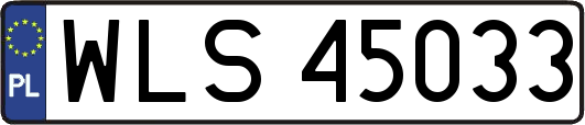 WLS45033