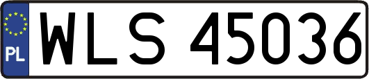 WLS45036