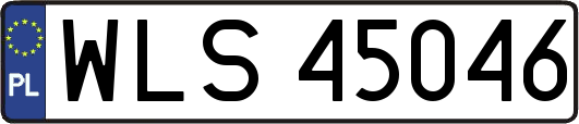 WLS45046