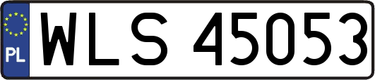 WLS45053