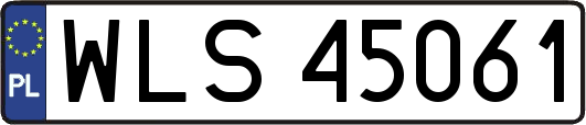 WLS45061