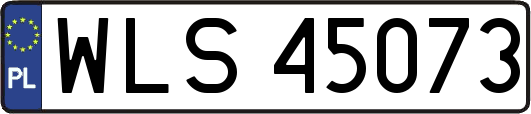 WLS45073