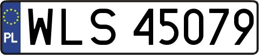 WLS45079