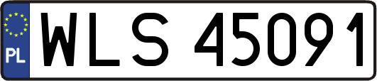 WLS45091