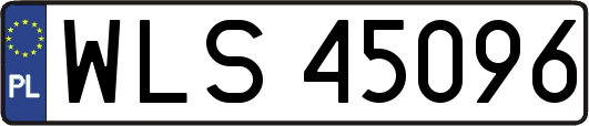 WLS45096
