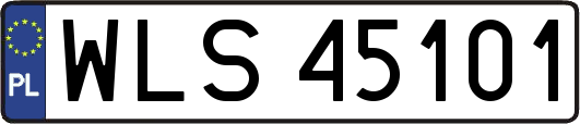 WLS45101