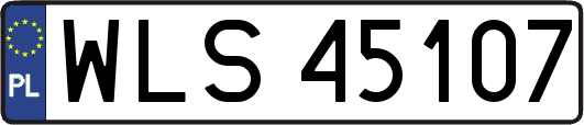 WLS45107