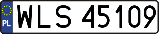 WLS45109