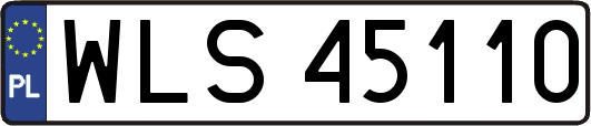 WLS45110