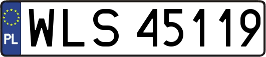 WLS45119
