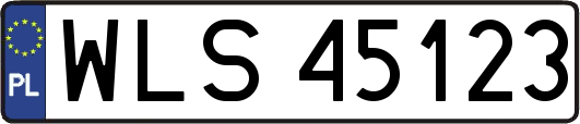 WLS45123