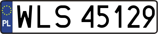 WLS45129