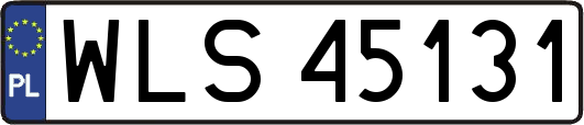 WLS45131