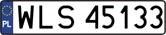 WLS45133